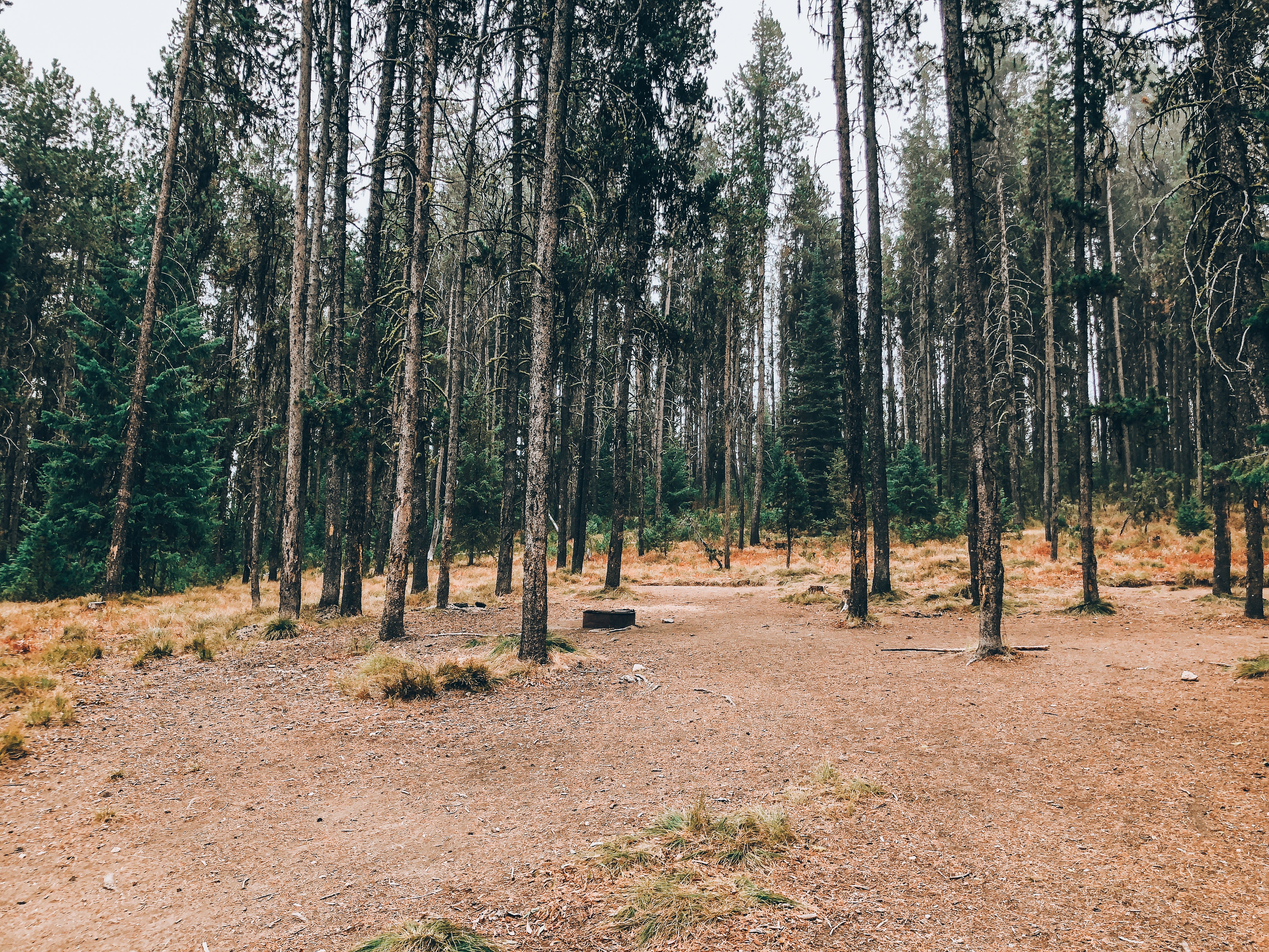 Cozy Cove Campground