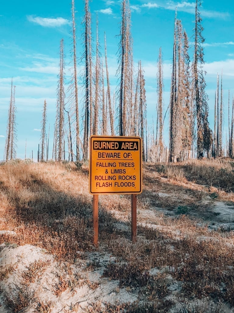 Deadwood Reservoir Camping Tips