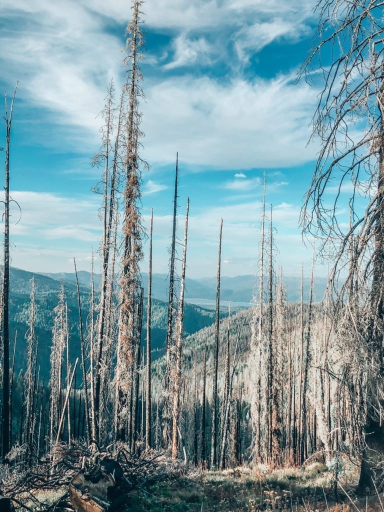 Deadwood Reservoir Camping Tips