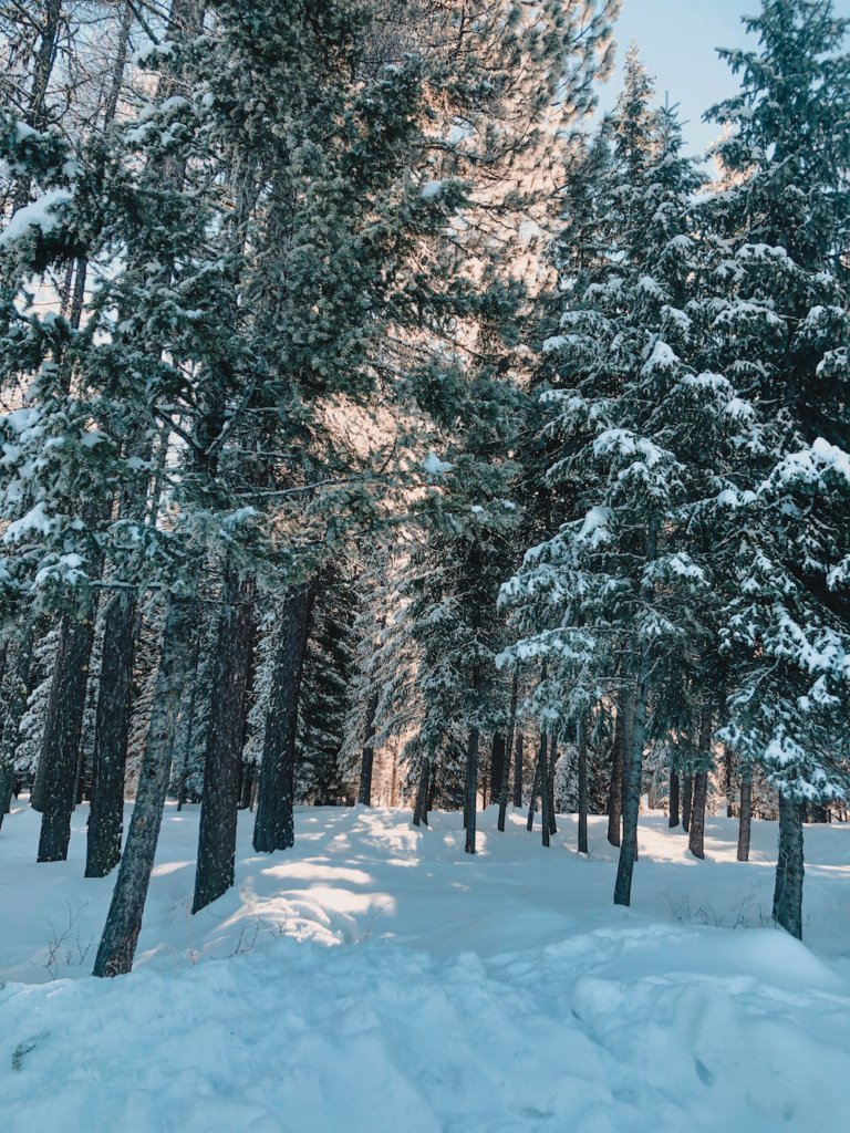 mccall Idaho mccall Idaho