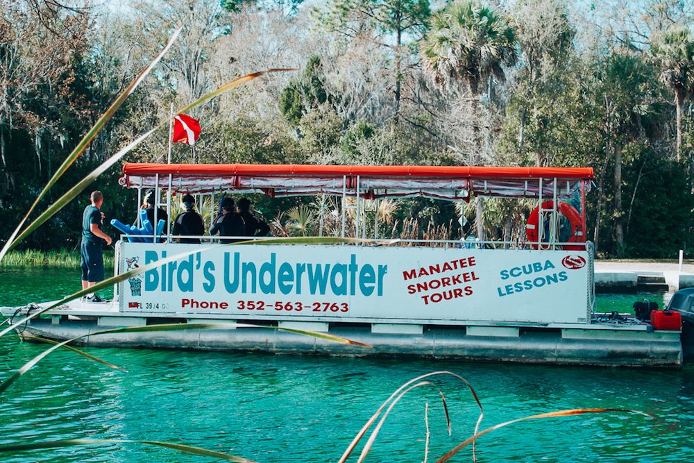 Birds Underwater tours Birds Underwater tours