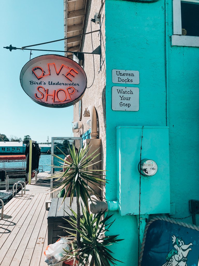 birds underwater dive shop birds underwater dive shop