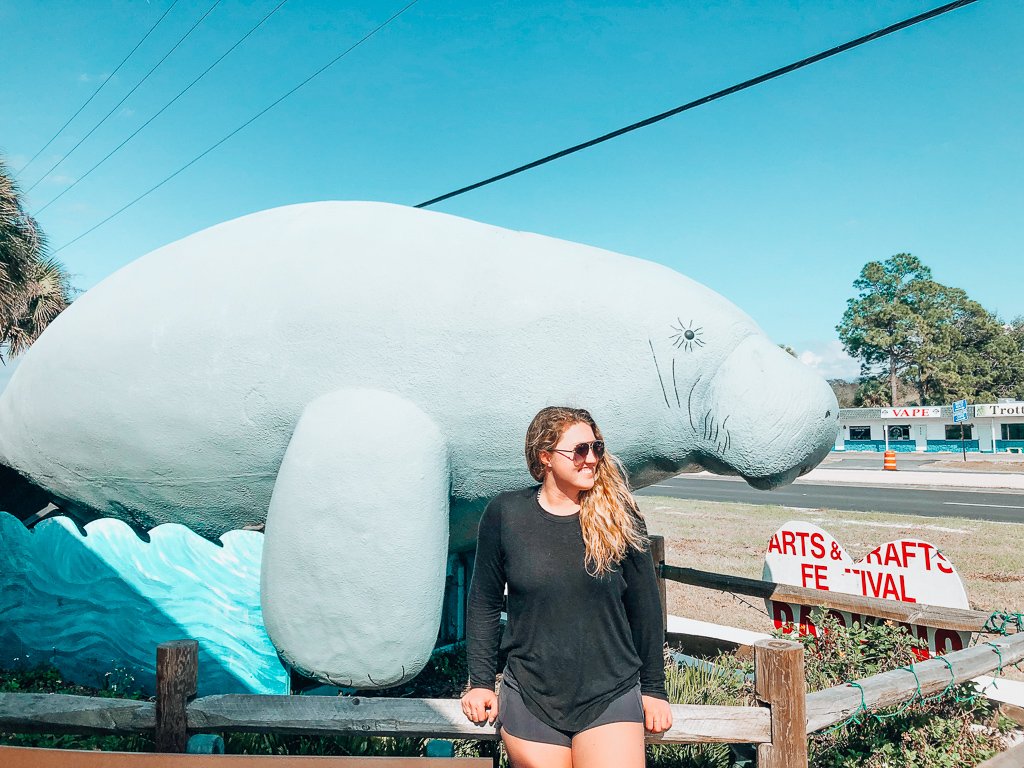 swim with manatees swim with manatees