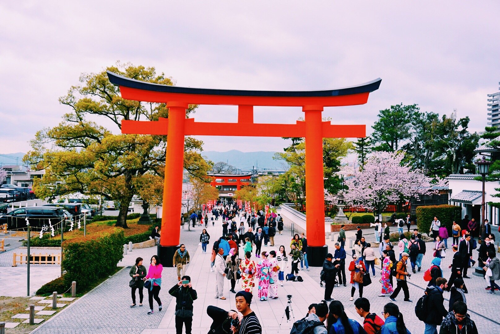 Processed with VSCO with c1 preset