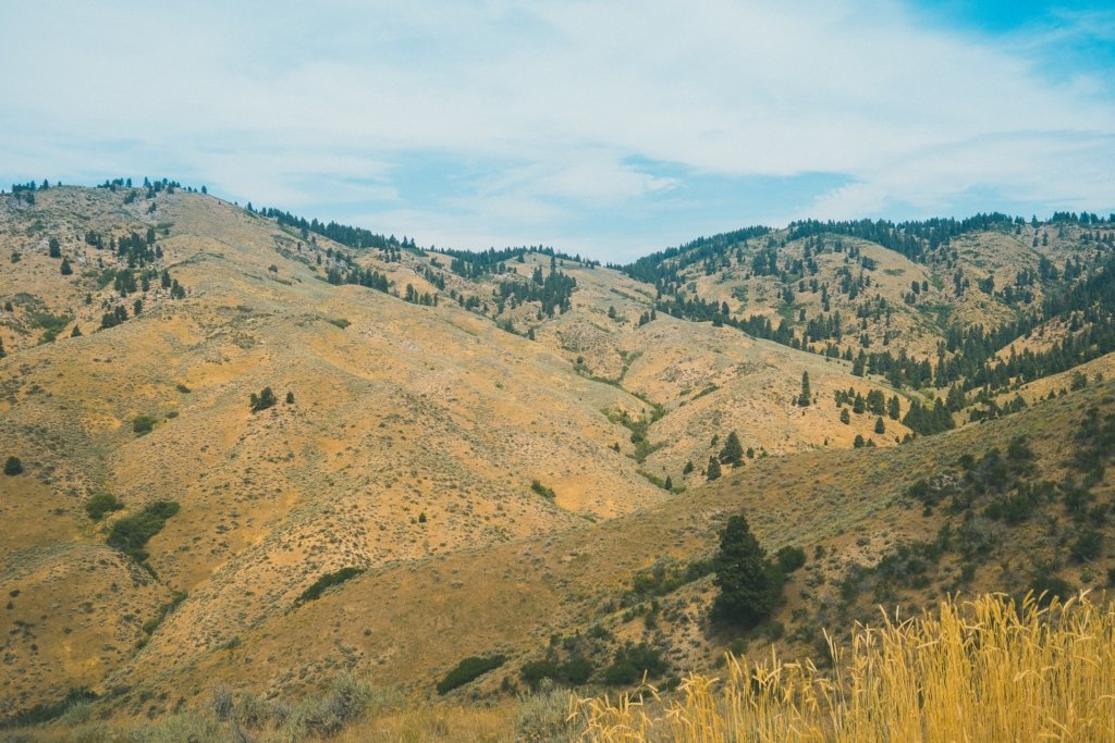 boise foothills