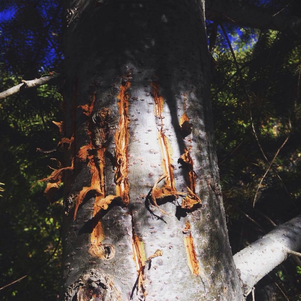 Dry Creek Boise Dry Creek Boise