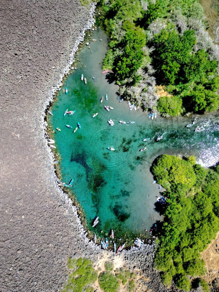 blueheart springs