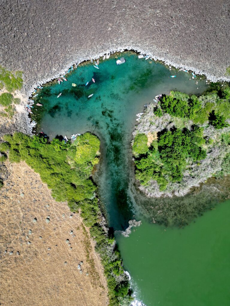 blueheart springs