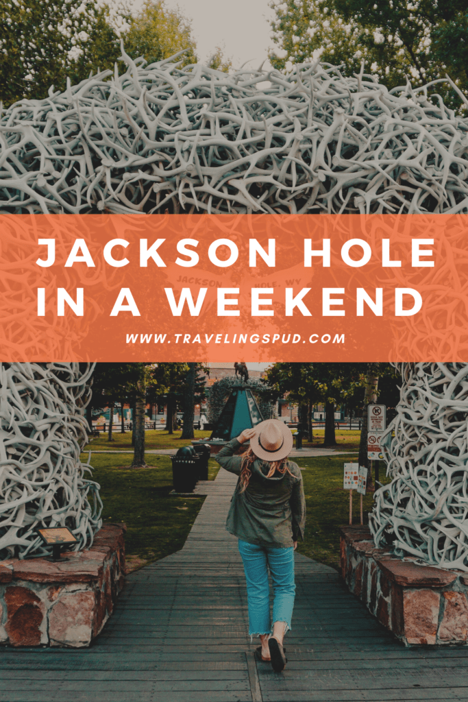 Jackson Hole in summer