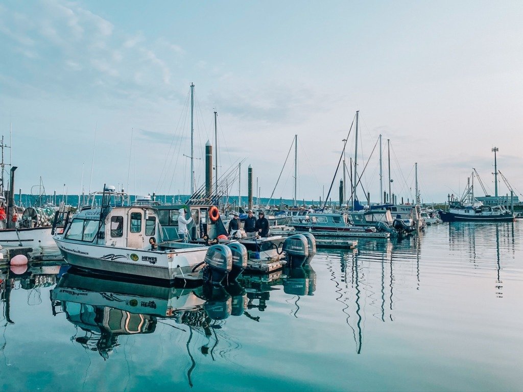 Alaska Itinerary homer bay