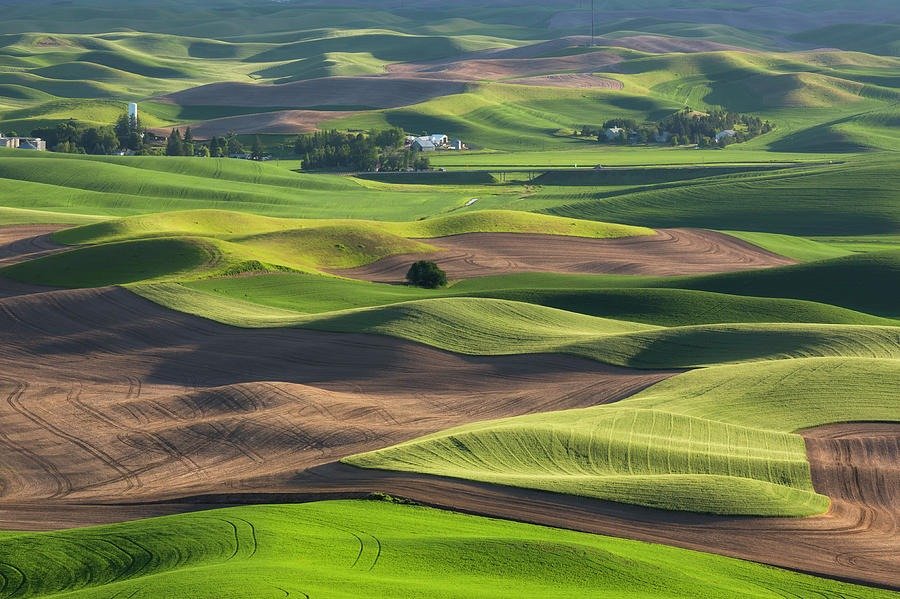 rolling hills of the palouse