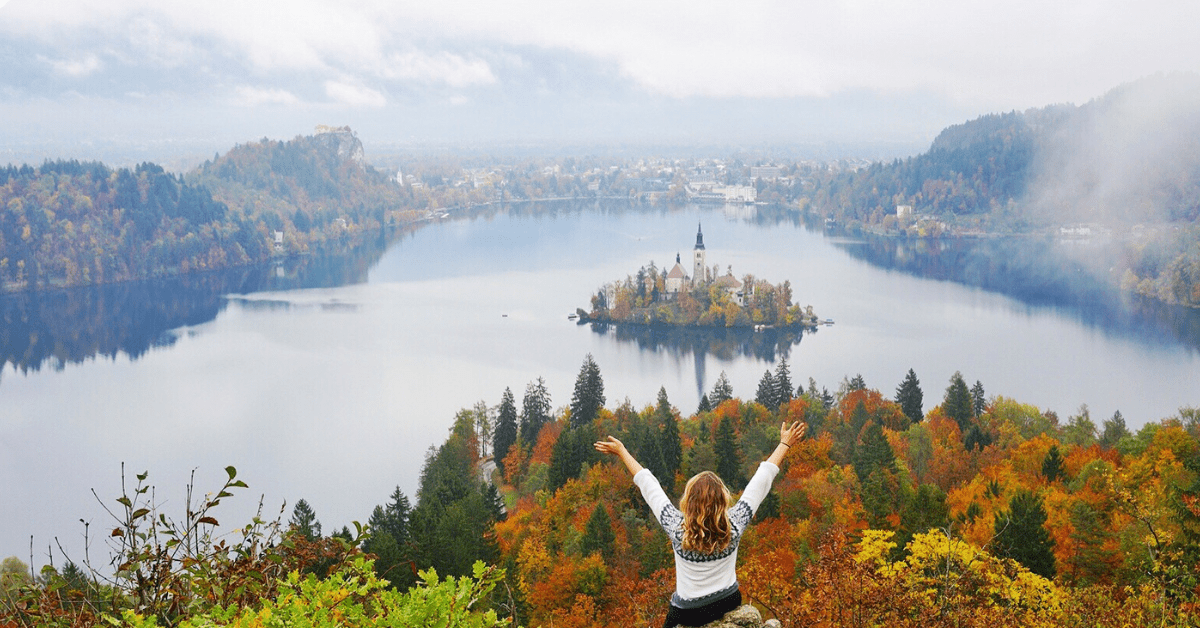 fall foliage wide lens