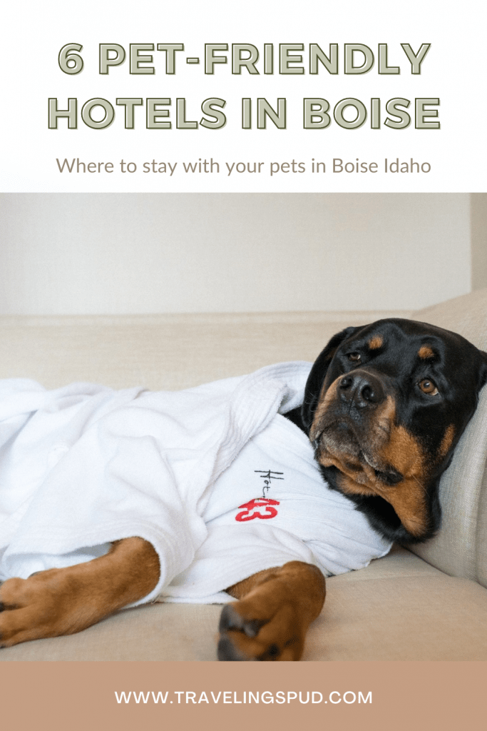 6 Pet-Friendly Hotels in Boise Idaho