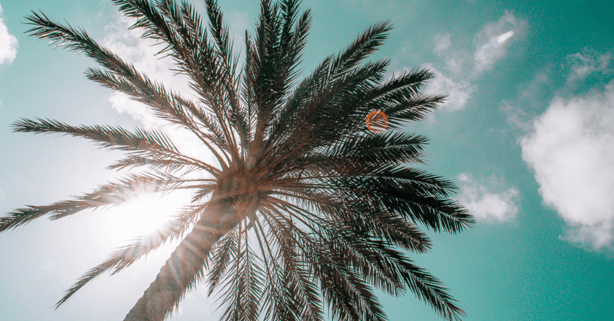 Road Trip Down Florida West Coast