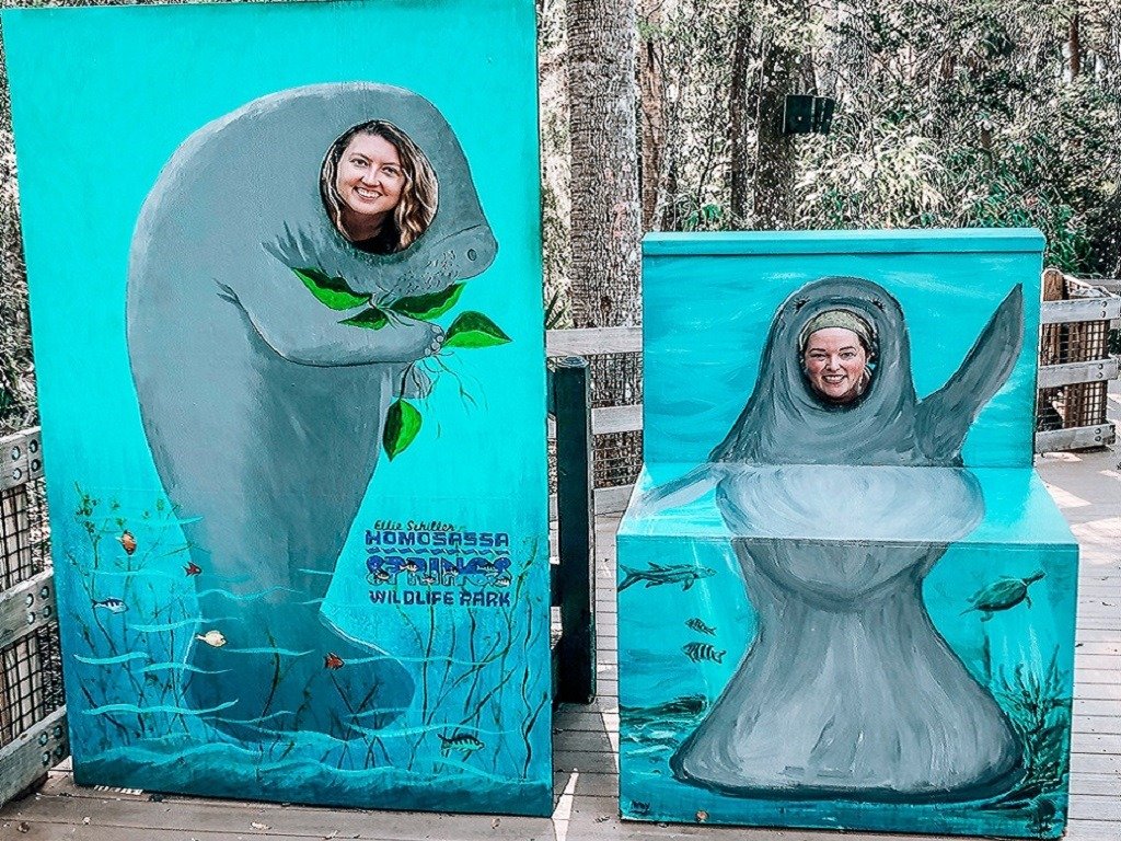 What to do in Crystal River and Homosassa