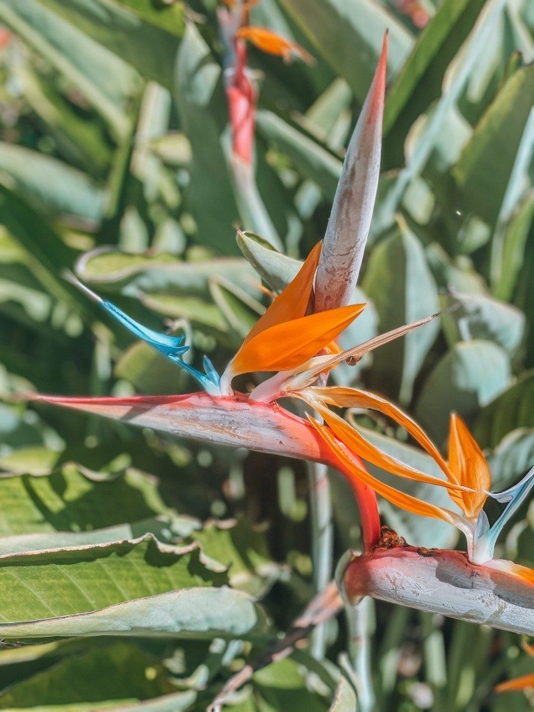 Where to Stay in La Jolla: The Grande Colonial