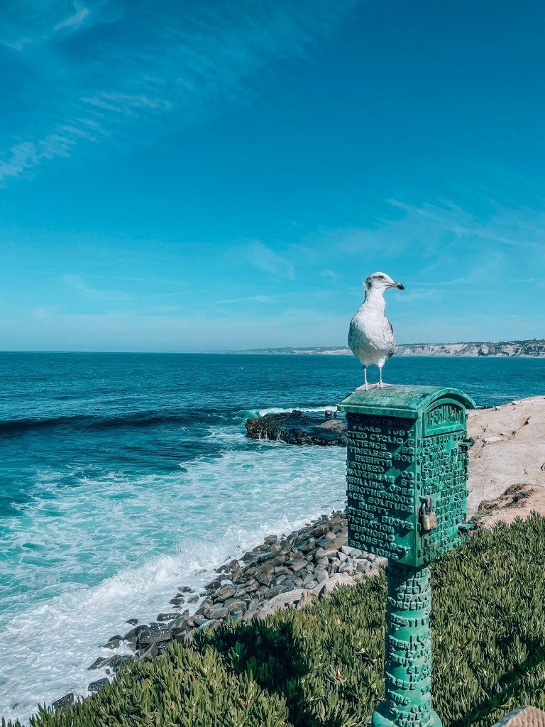 Where to Stay in La Jolla: The Grande Colonial