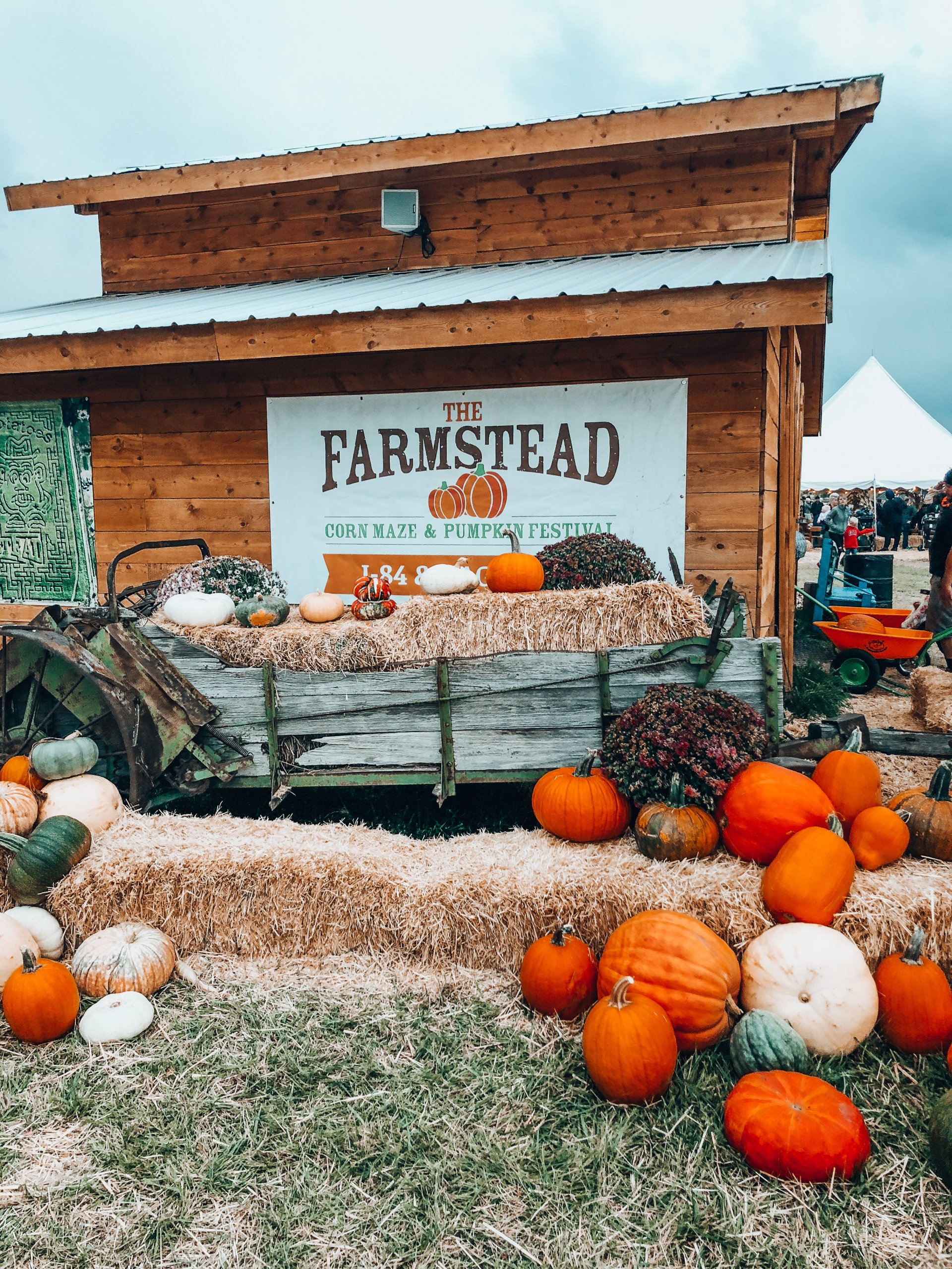 Pumpkin patch during fall | fall boise bucket list
