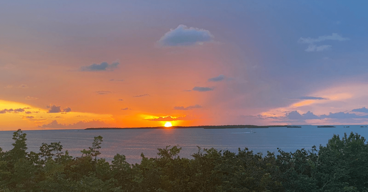 What To Do in Key Largo, FL