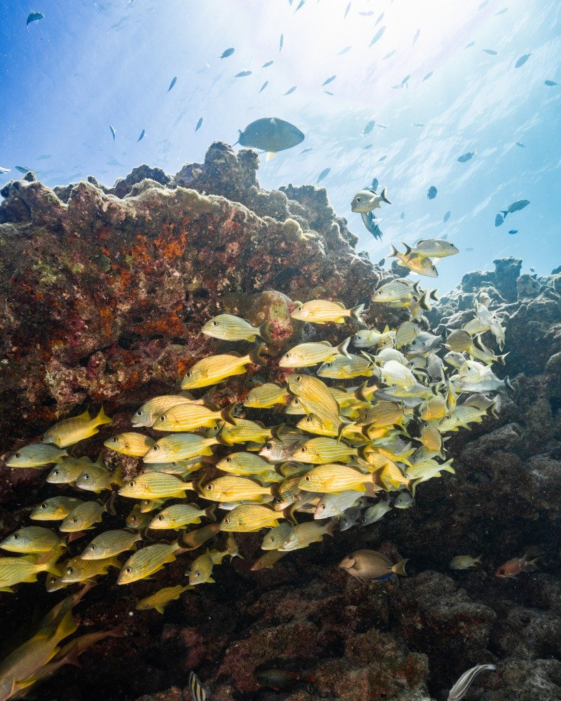 What To Do in Key Largo, FL