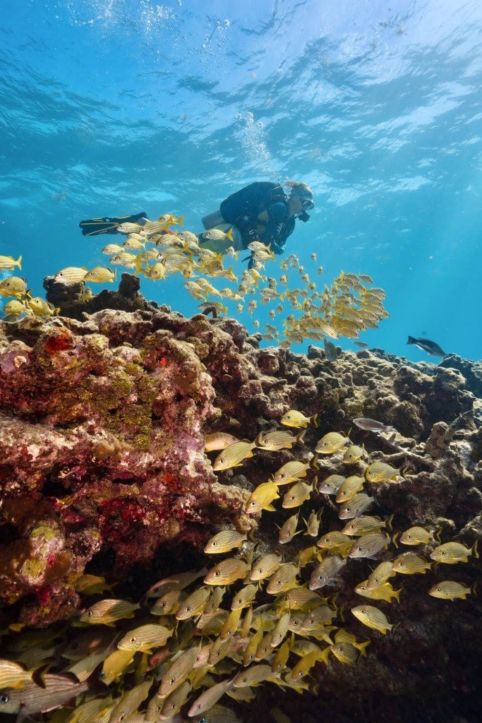 What To Do in Key Largo, FL