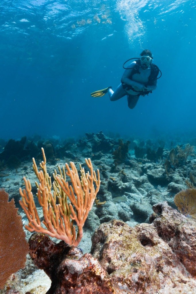 What To Do in Key Largo, FL