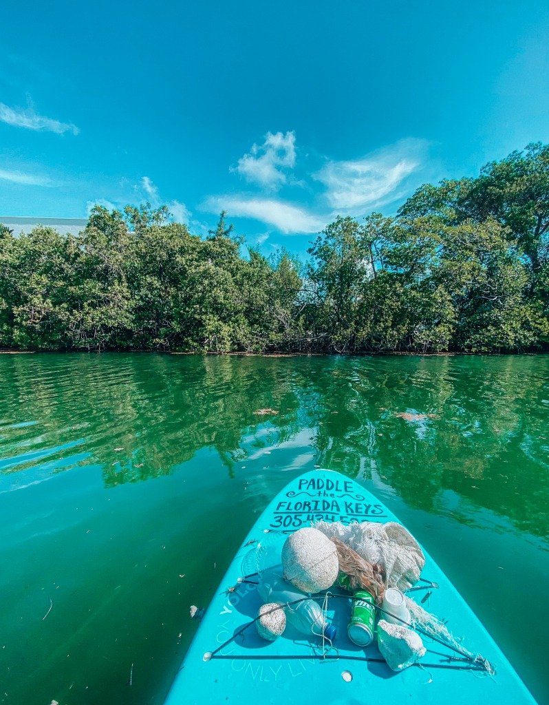 Paddle Board Through the Mangroves