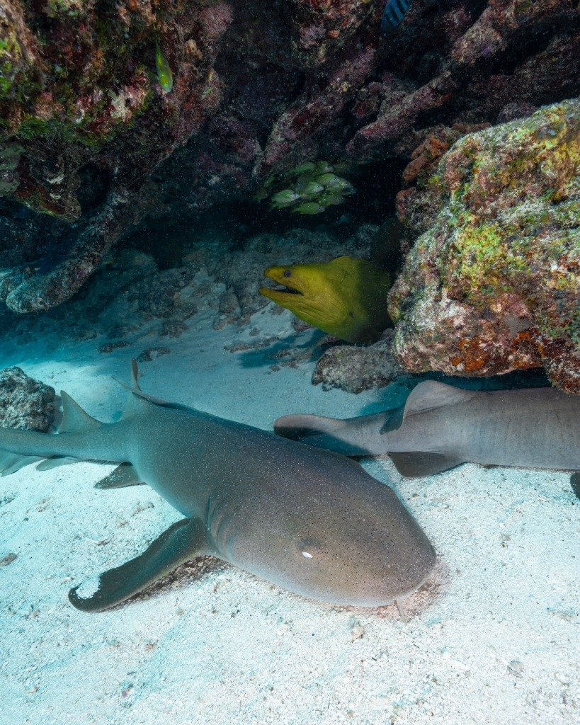 What To Do in Key Largo, FL