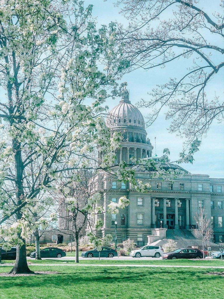 Flowers blooming in Spring Idaho
