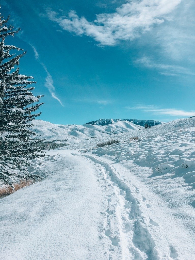 The Best Time to Visit Idaho