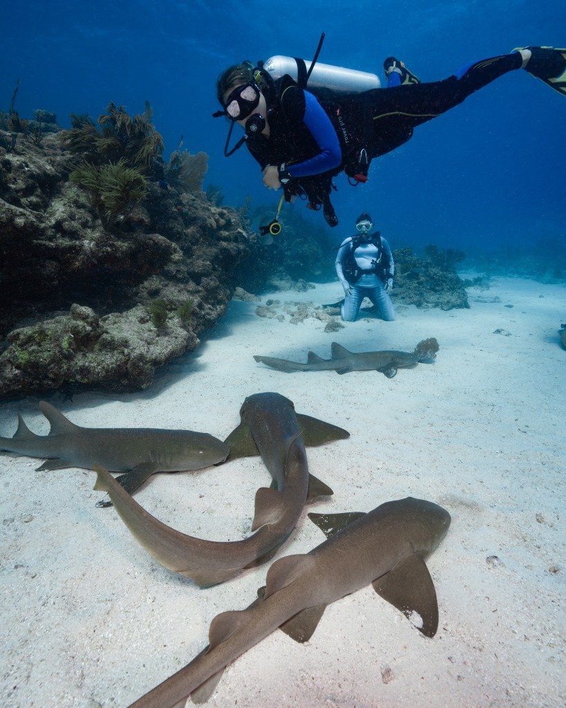 What To Do in Key Largo, FL