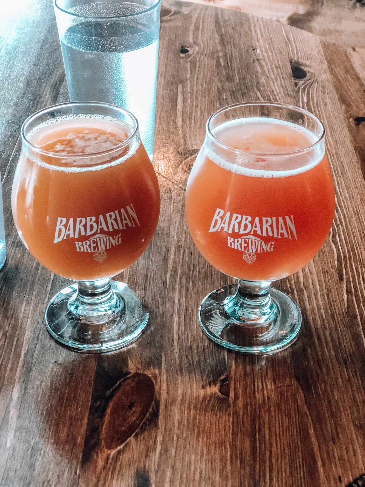 Western Collective - 22 Best Breweries in Idaho