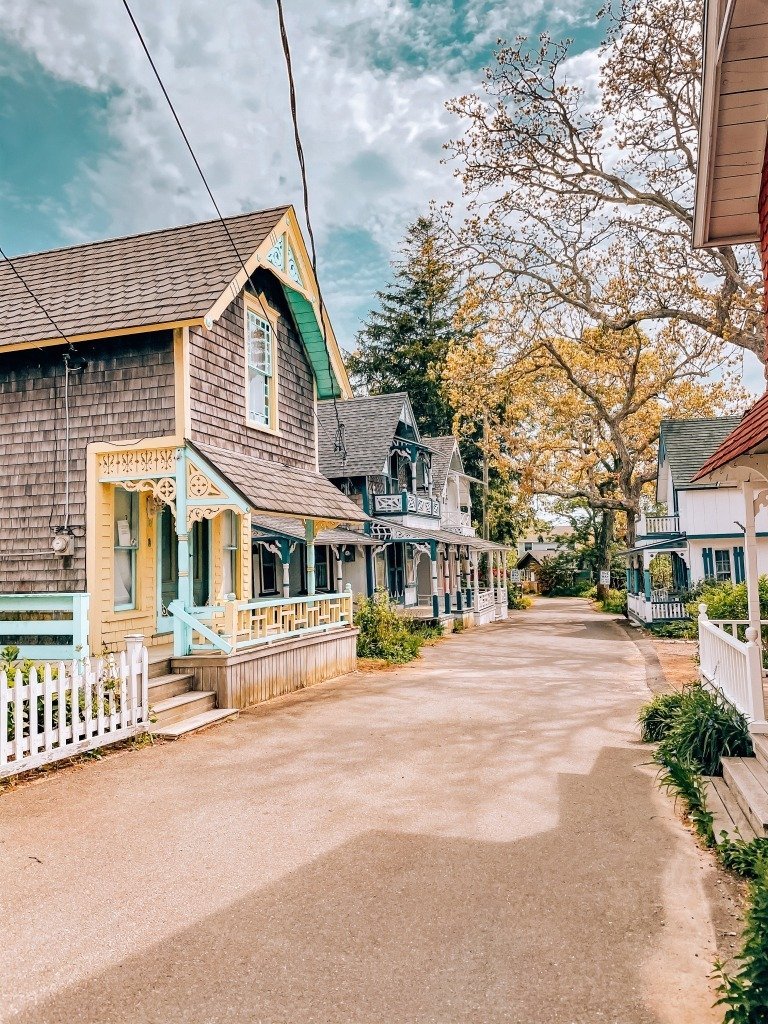 Things To Do In Oak Bluffs