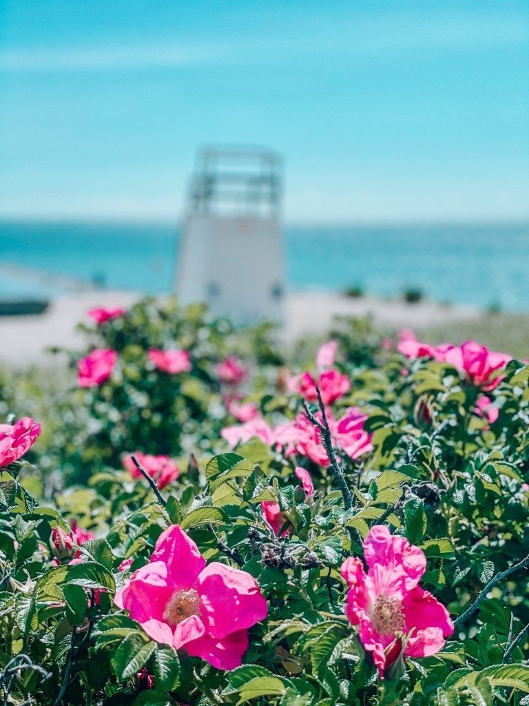 25 Things To Do In Marthas Vineyard During the Weekend