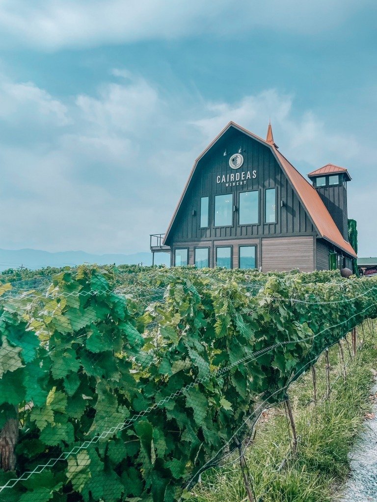 What to Do in Lake Chelan, WA