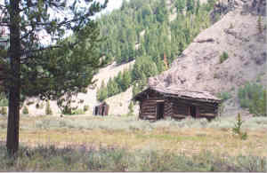 Yankee Fork Area Bonanza