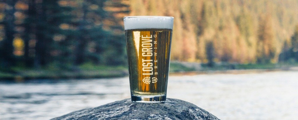 Lost Grove Brewing
