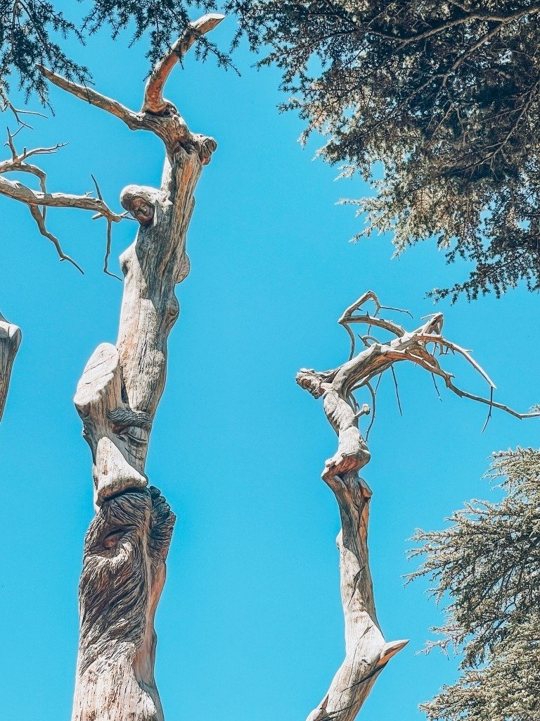 20 Epic Things to Do in Lebanon
