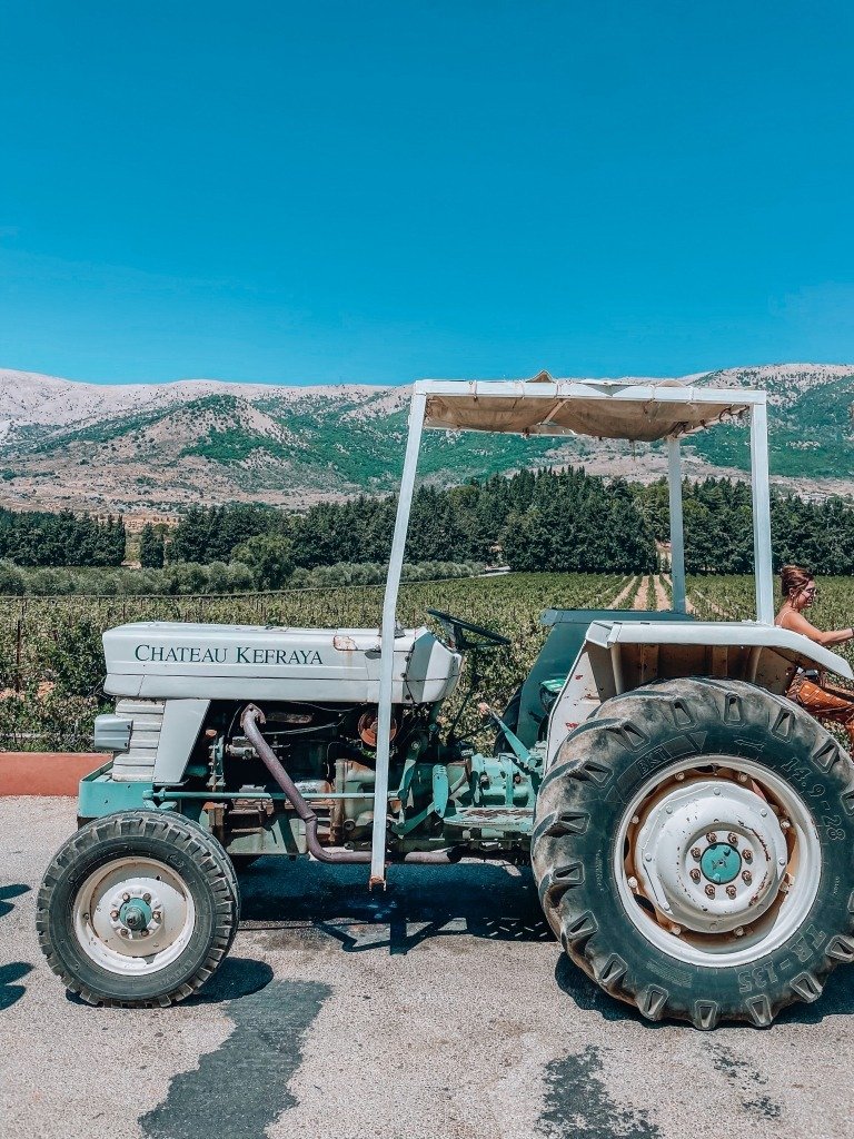 Bekaa Valley wine tasting