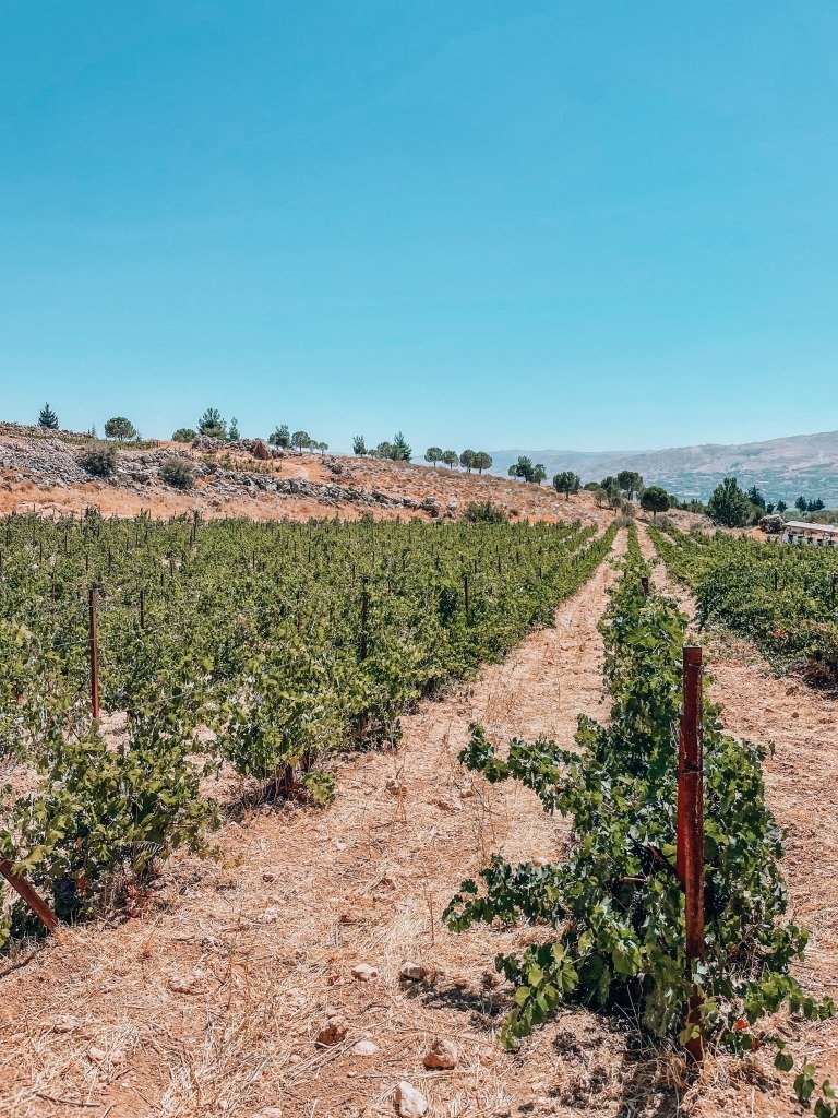 Chateau Kefraya winery