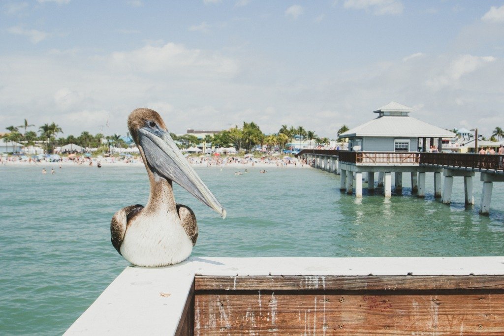 10 US Destinations for an Ecotourism Trip - Fort Meyers
