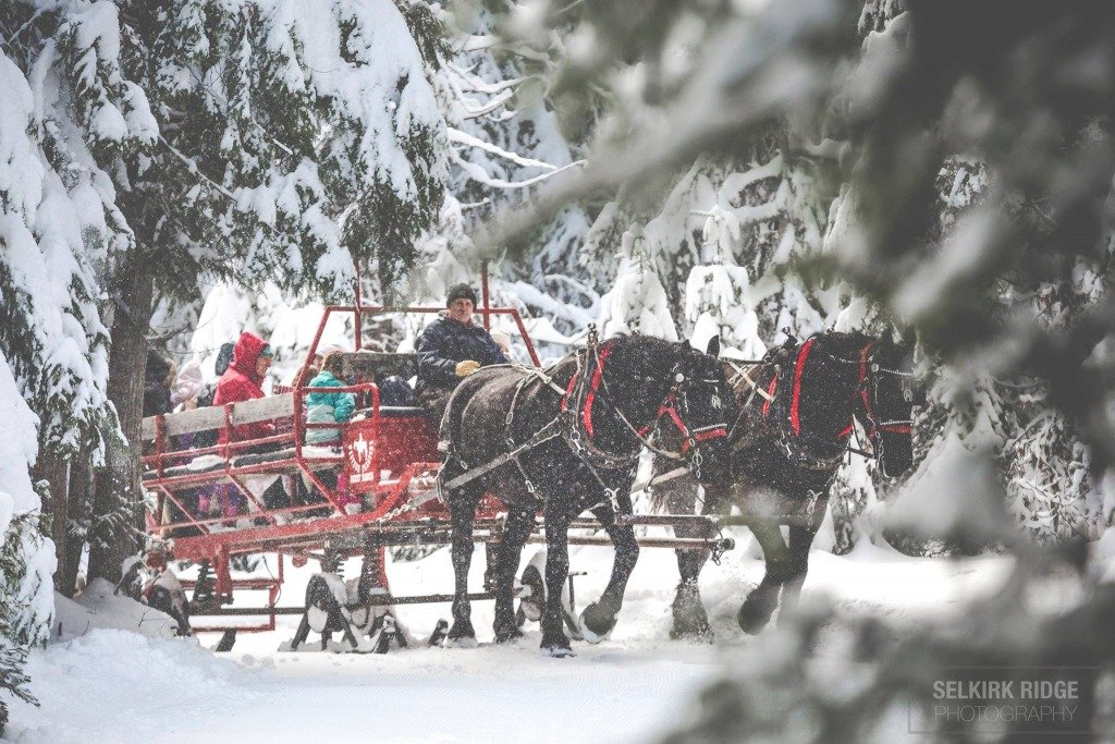 horse-drawn sleigh ride in winter