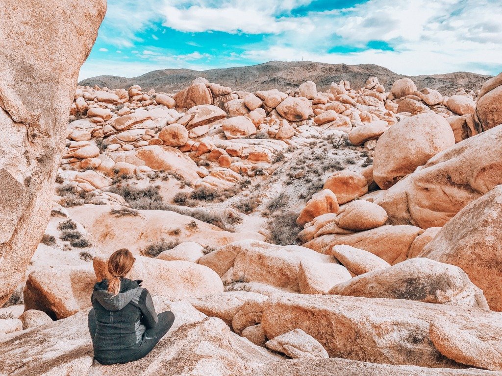Day Trip to Palm Desert