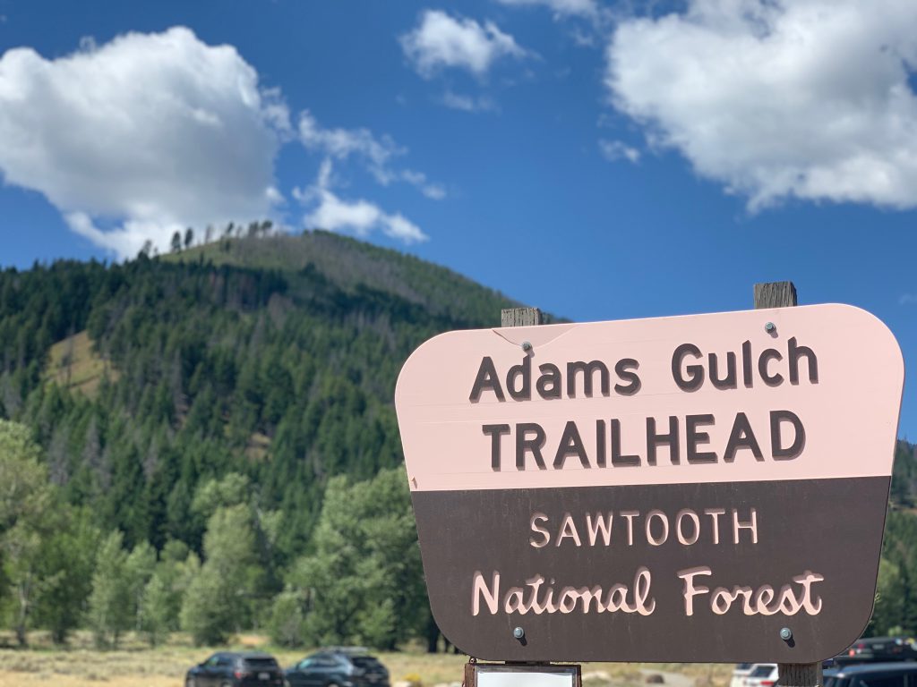 Adam's Gulch