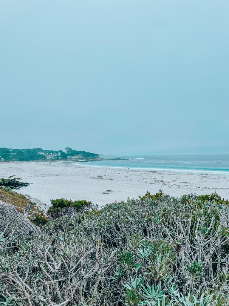 20 Best Things To Do In Carmel By The Sea