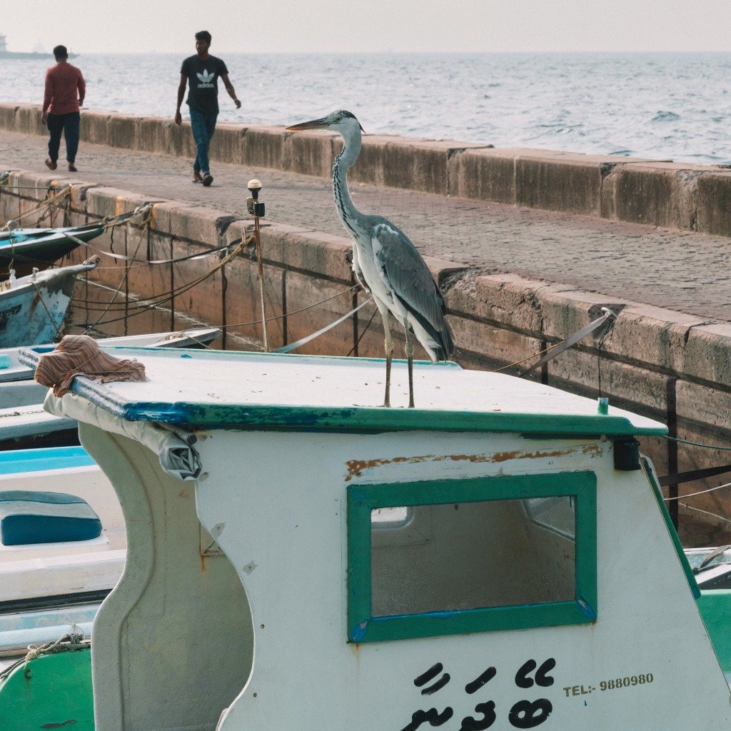 Male Guide 4 How To Spend One Day In Malé, Maldives