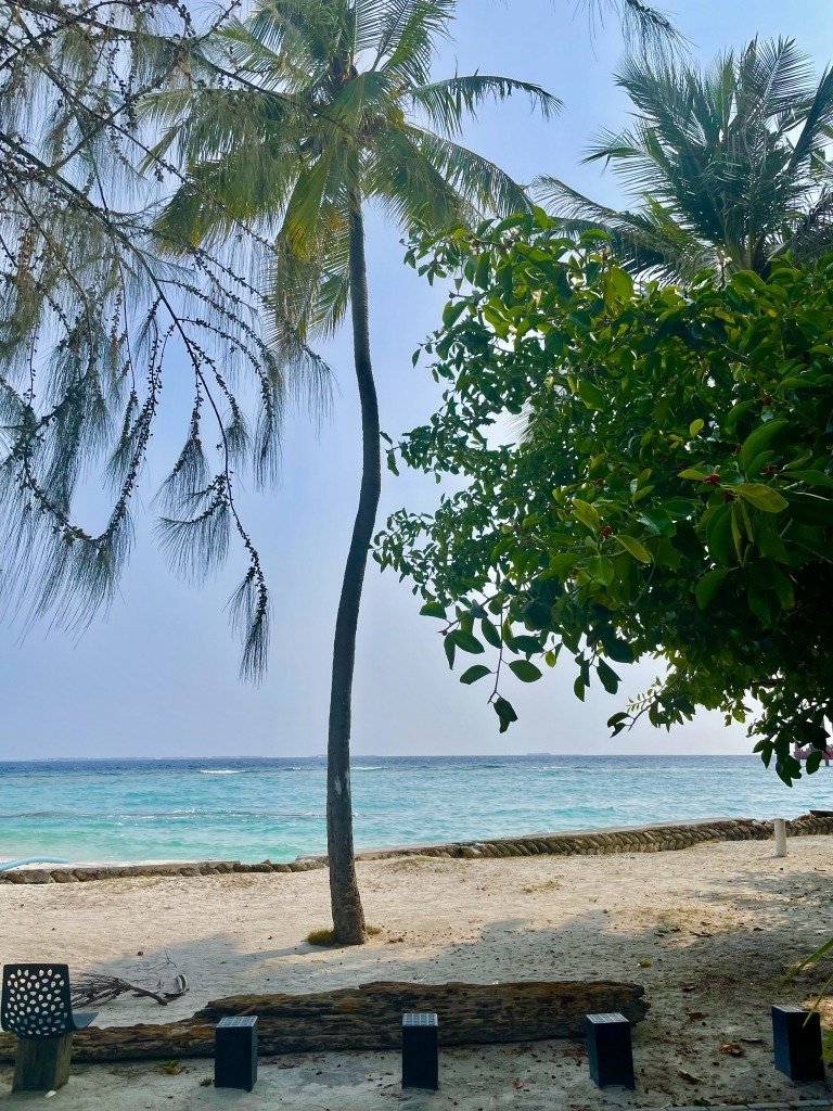 Villemale_3 How to Spend One Day in Malé, Maldives