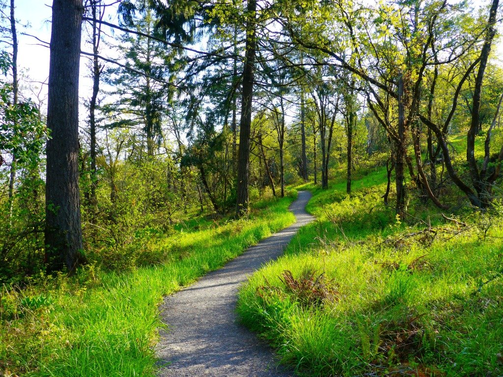 What to Do in Eugene, Oregon: Eat, Play and Stay