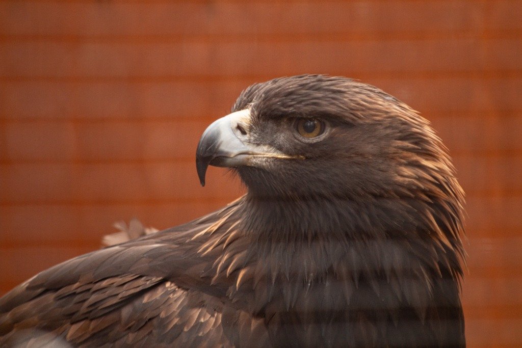 What to Do in Eugene, Oregon: Eat, Play and Stay