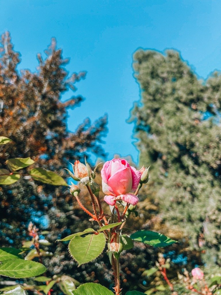 What to Do in Eugene, Oregon: Eat, Play and Stay